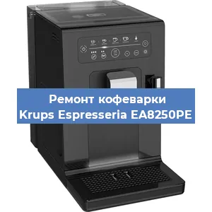Замена прокладок на кофемашине Krups Espresseria EA8250PE в Воронеже